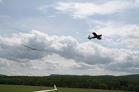 IMG_3812 