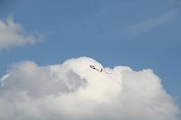 IMG_4227 